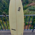 For Rent: Energia Tropical Surfboard