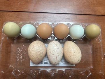 Selling with online payment: Fresh chicken eggs