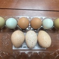 Selling with online payment: Fresh chicken eggs