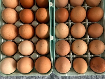 Selling with In-person Payment: Fresh farm eggs