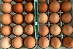 Selling with In-person Payment: Fresh farm eggs
