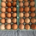 Selling with In-person Payment: Fresh farm eggs