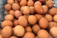 Selling with In-person Payment: Farm fresh organic eggs