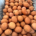 Selling with In-person Payment: Farm fresh organic eggs