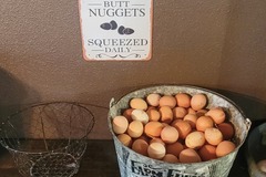 Selling with In-person Payment: Fresh eggs