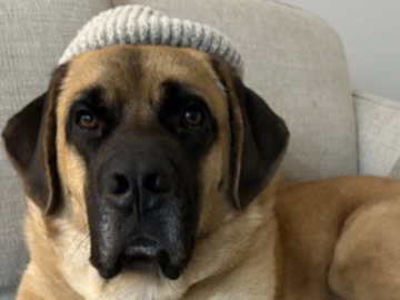   : Max