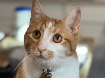   : Oliver 