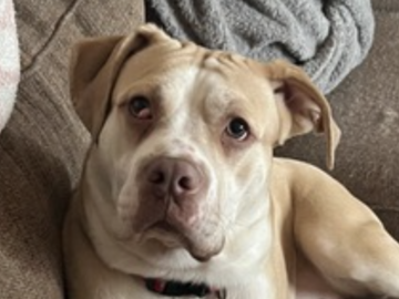   : Lola