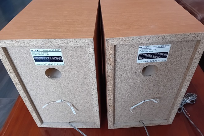 Enceintes SONY SS - CGP7
