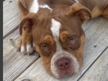   : Penny