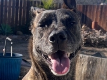   : Kona