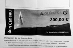 Vente: Bon cadeau les Glénans (300€)