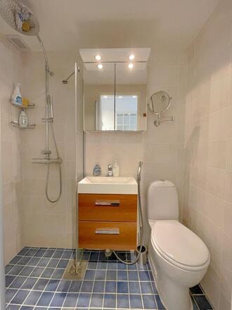 Furnished Studio Apartment in Tapiola