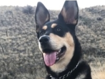   : Kona