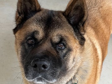   : Keiko