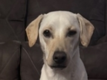   : Toby