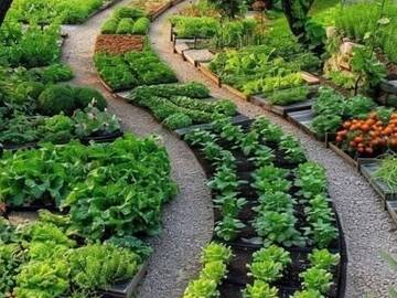Wellness Session Single: Grow a Magical Organic Garden with Kathleen