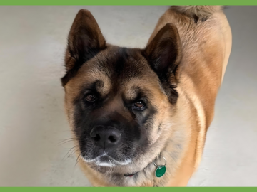 : Keiko