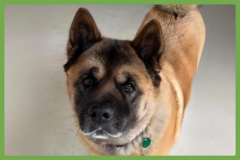  : Keiko