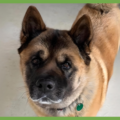  : Keiko