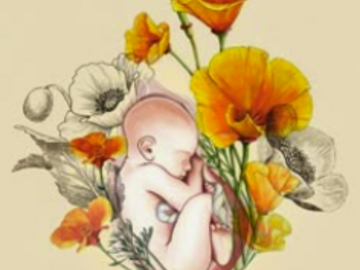 Wellness Session Packages: Birth Doula Support: Empowered Pregnancy & Birth with Valerie