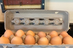 Selling with In-person Payment: Farm Fresh Eggs - Unwashed