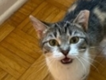   : Macy