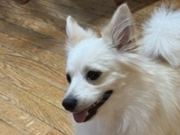   : Mia