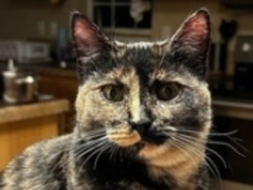   : Lisa Marie Mooshoo