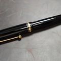 Renting out: Pilot 74 (B)