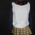 Selling with online payment: Rosario + Vampire Mizore