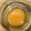 Selling with In-person Payment: Delicious Eggs!