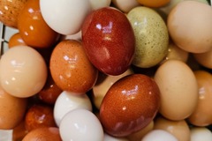 Selling with In-person Payment: Farm Fresh Pasture Raised Chicken Eggs