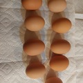 Selling with In-person Payment: Farm fresh brown eggs