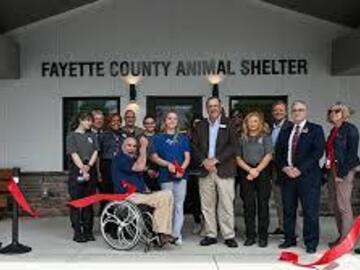 Looking for volunteers: Create Social Media Posts, Adoptable Animal Collages, and more!