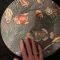 Selling with online payment: !2" old style Remo Ocean Drum