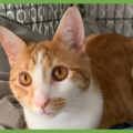  : Oliver