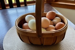Selling with In-person Payment: Farm Fresh Eggs 