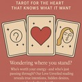 Selling: Love Unveiled Tarot Reading 