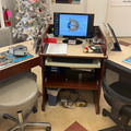 Selling with online payment: Wood Optical Desk