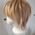 Selling with online payment: Short Dirty Blonde Wig