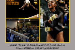 Clinics: Prairie Fire Gymnastics University of Iowa Clinic