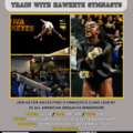 Clinics: Prairie Fire Gymnastics University of Iowa Clinic
