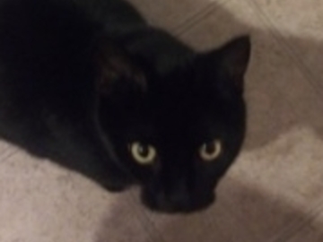   : Luna