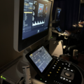 Kurs: Ultrasonografia Żylna