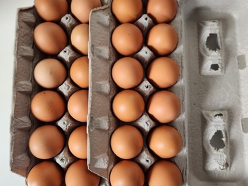Selling with In-person Payment: Brown Free Range 