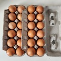 Selling with In-person Payment: Brown Free Range 