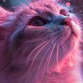 Selling: ANIMAL COMMUNICATION READING; Connect with your pet today!