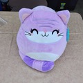 Bulk Lots: Squishmallow Lot