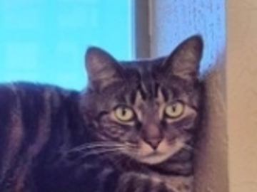   : Leo